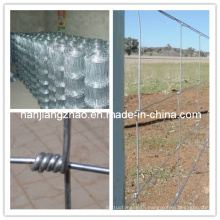 Galvanized Hinge Joint Knot Field Fence